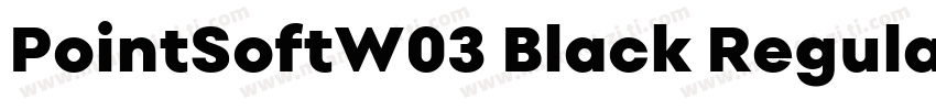 PointSoftW03 Black Regular字体转换